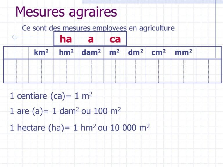 Hectare en m2